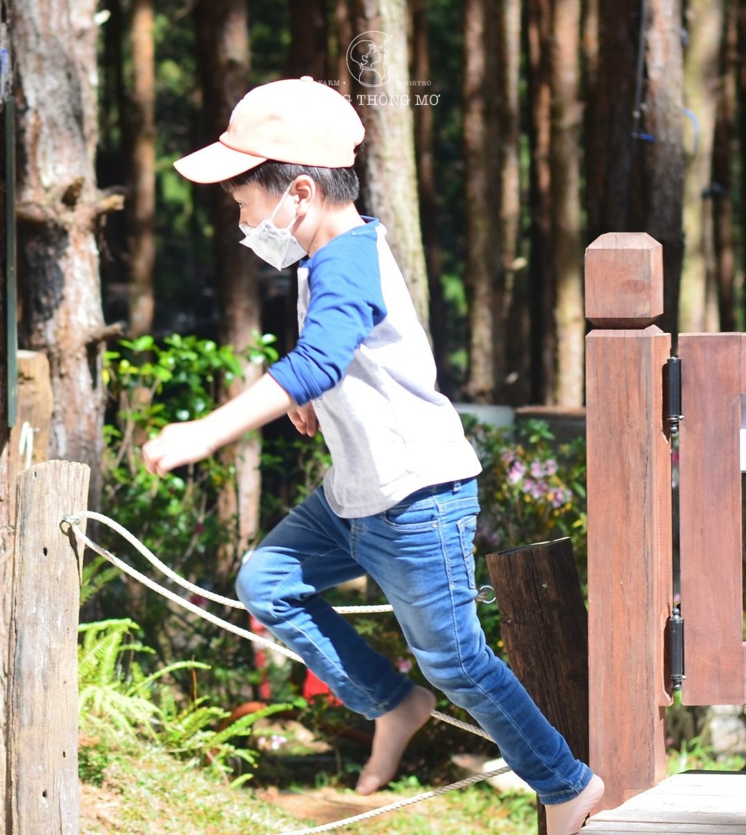 Một bé trai đi thăng bằng trên sợi dây căng giữa hai cọc gỗ trong rừng thông