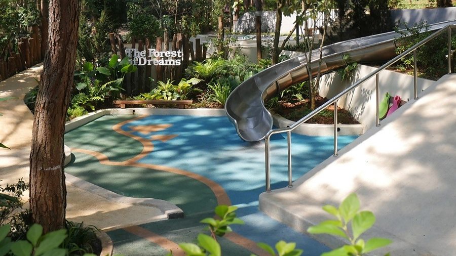 MƠ PARK — Làm sân chơi giữa rừng thông mà không đụng vào rừng!