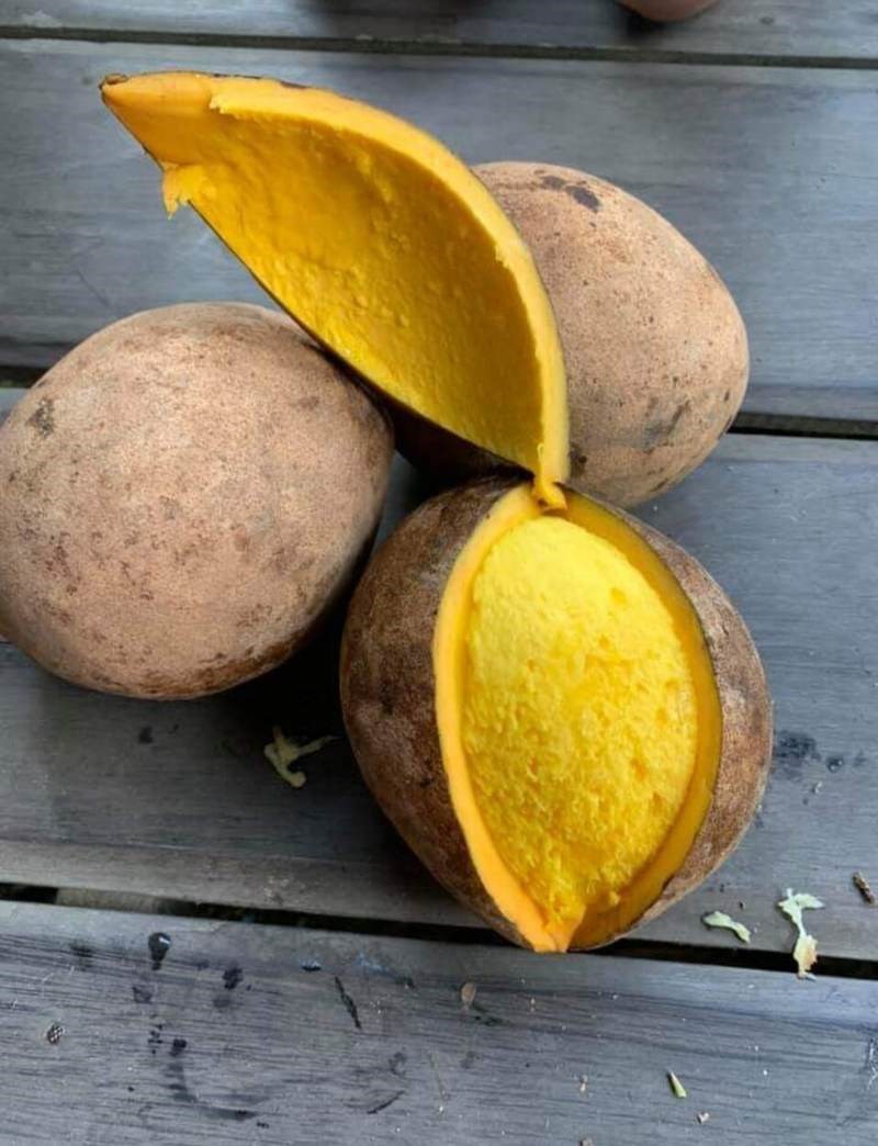 Quéo