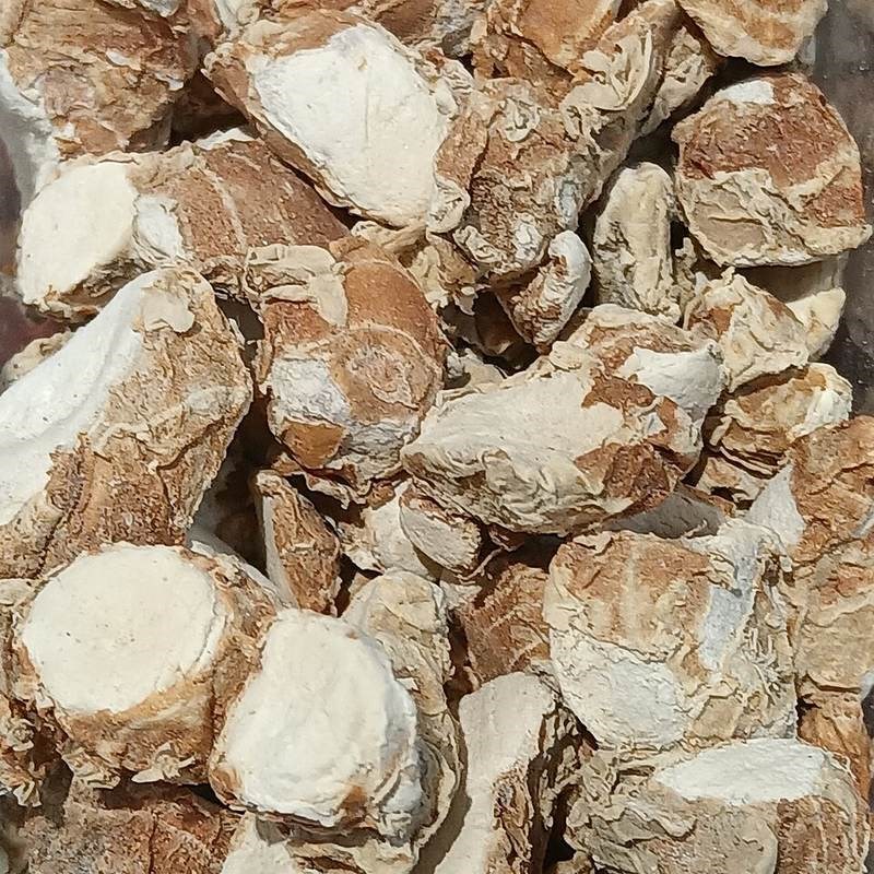 Địa liền