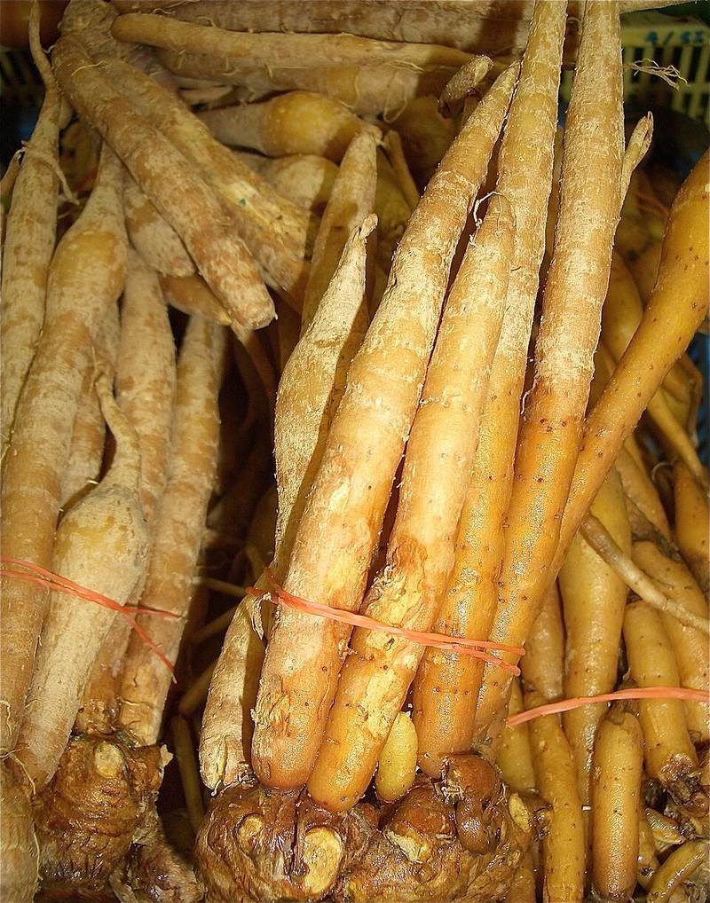 Ngải bún
