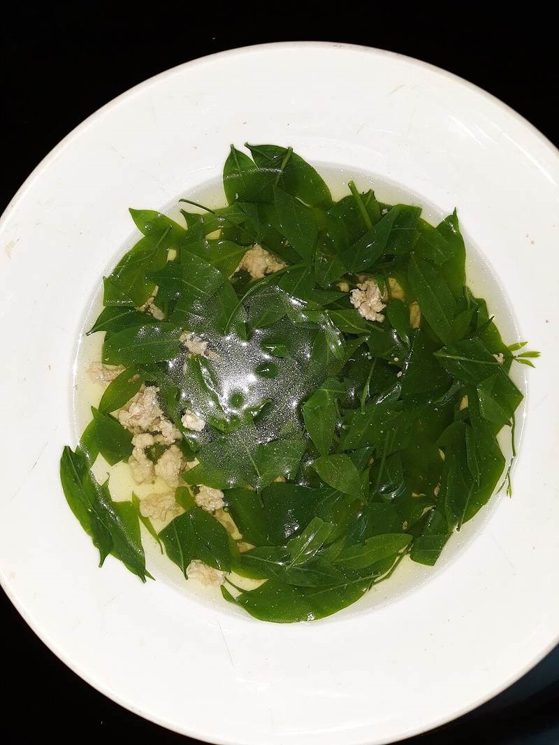 Bồ ngót rừng