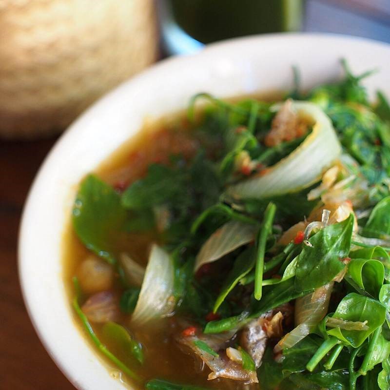 Bồ ngót rừng