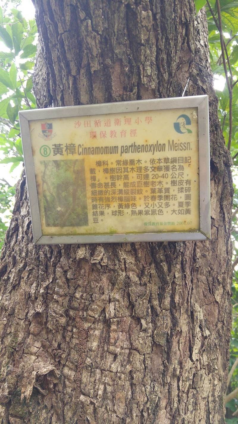 Re hương