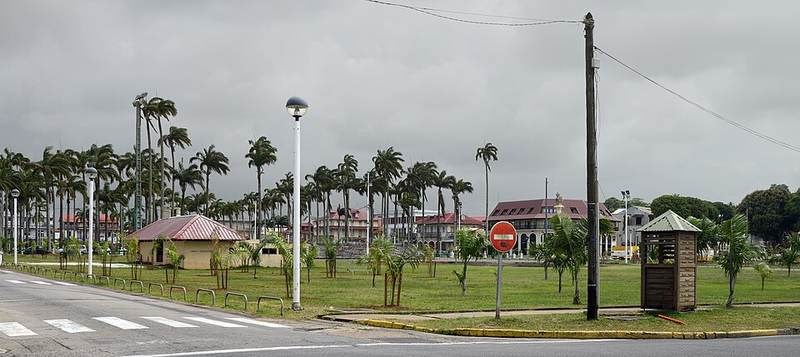Cau bụng