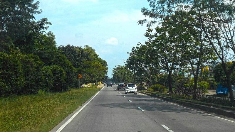 Cỏ tranh