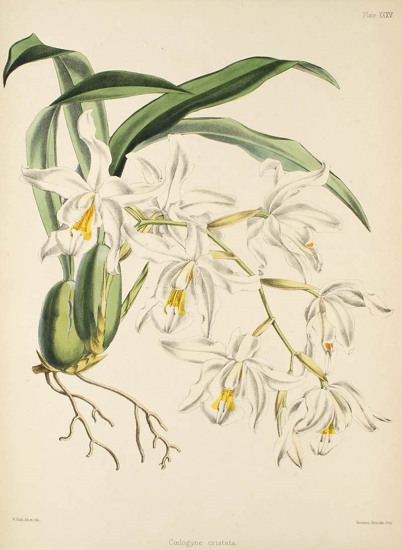 Lan đất Thanh Đạm