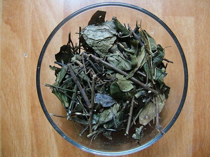 Chè vằng