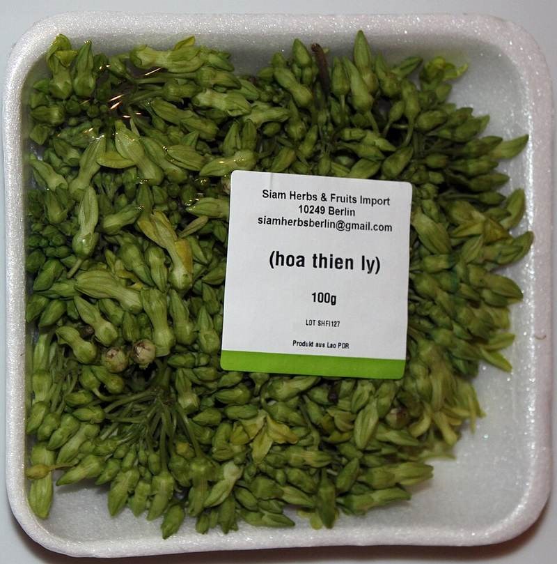 Thiên lý