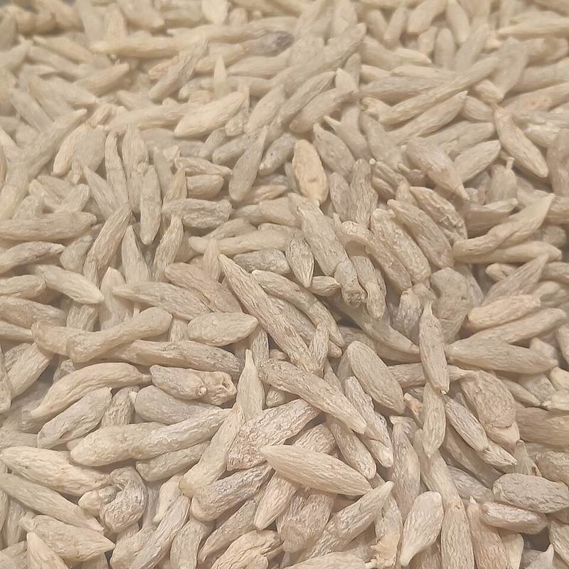 Cao cẳng xanh, mạch môn