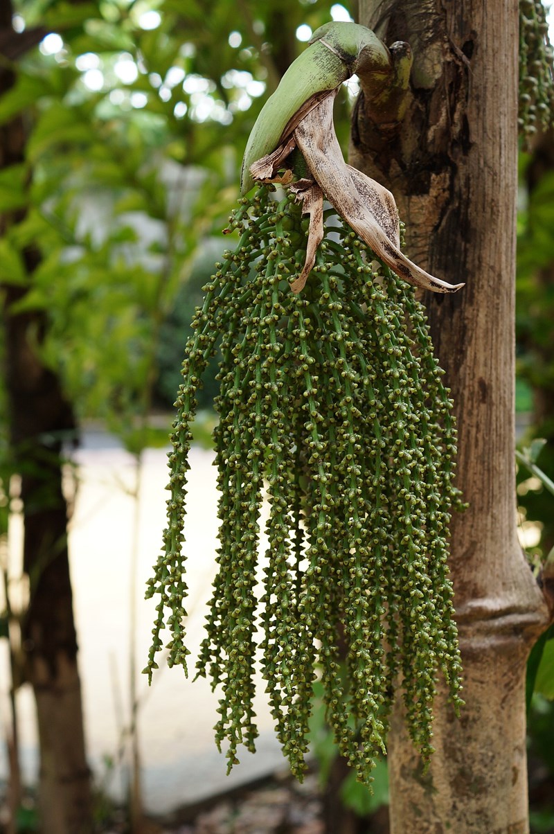 đủng đỉnh