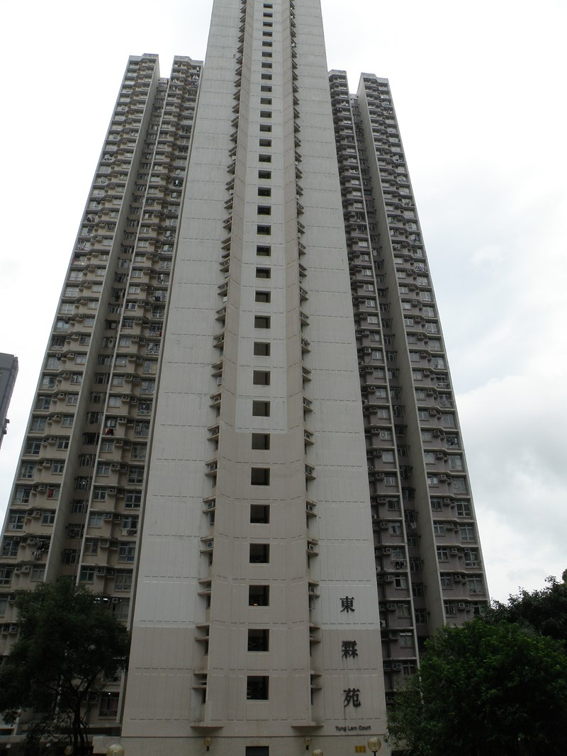tùng lam
