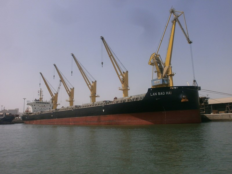 lan hài