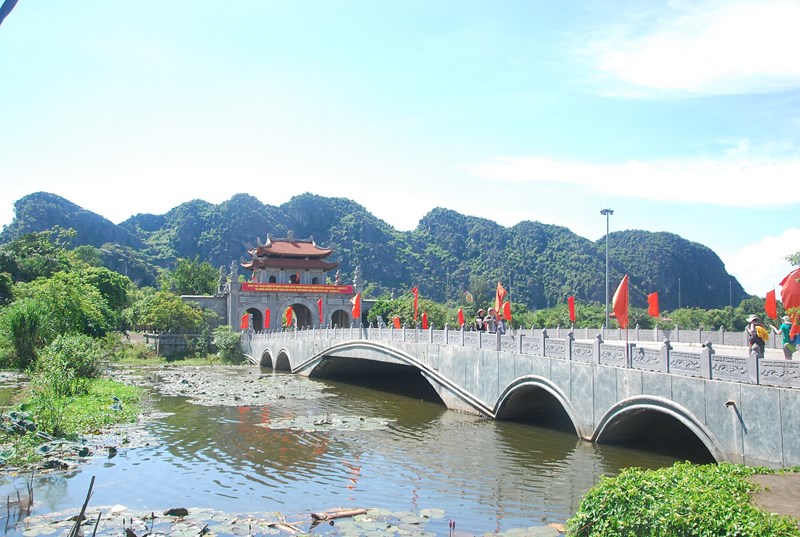 phong lữ thảo