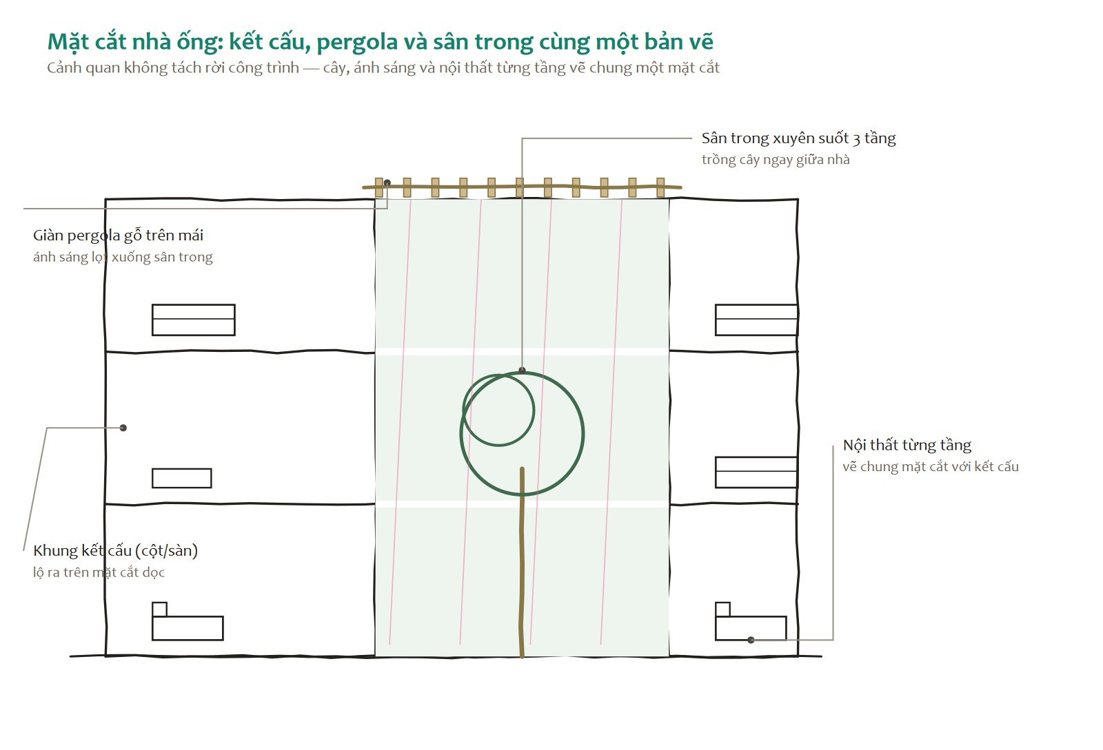 Một kiểu diễn họa mặt cắt phối cảnh: cắt dọc nhà để lộ cả kết cấu, giàn pergola gỗ trên mái và sân trong trồng cây ngay giữa nhà.
