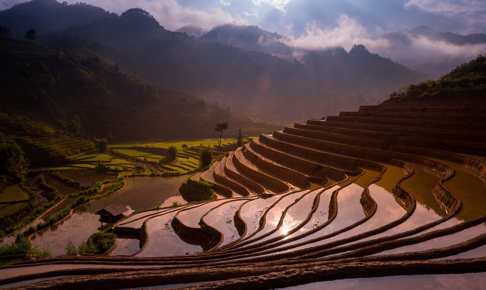 Ruộng lúa bậc thang ngập nước phản chiếu trời, các bờ ruộng cong theo đường đồng mức