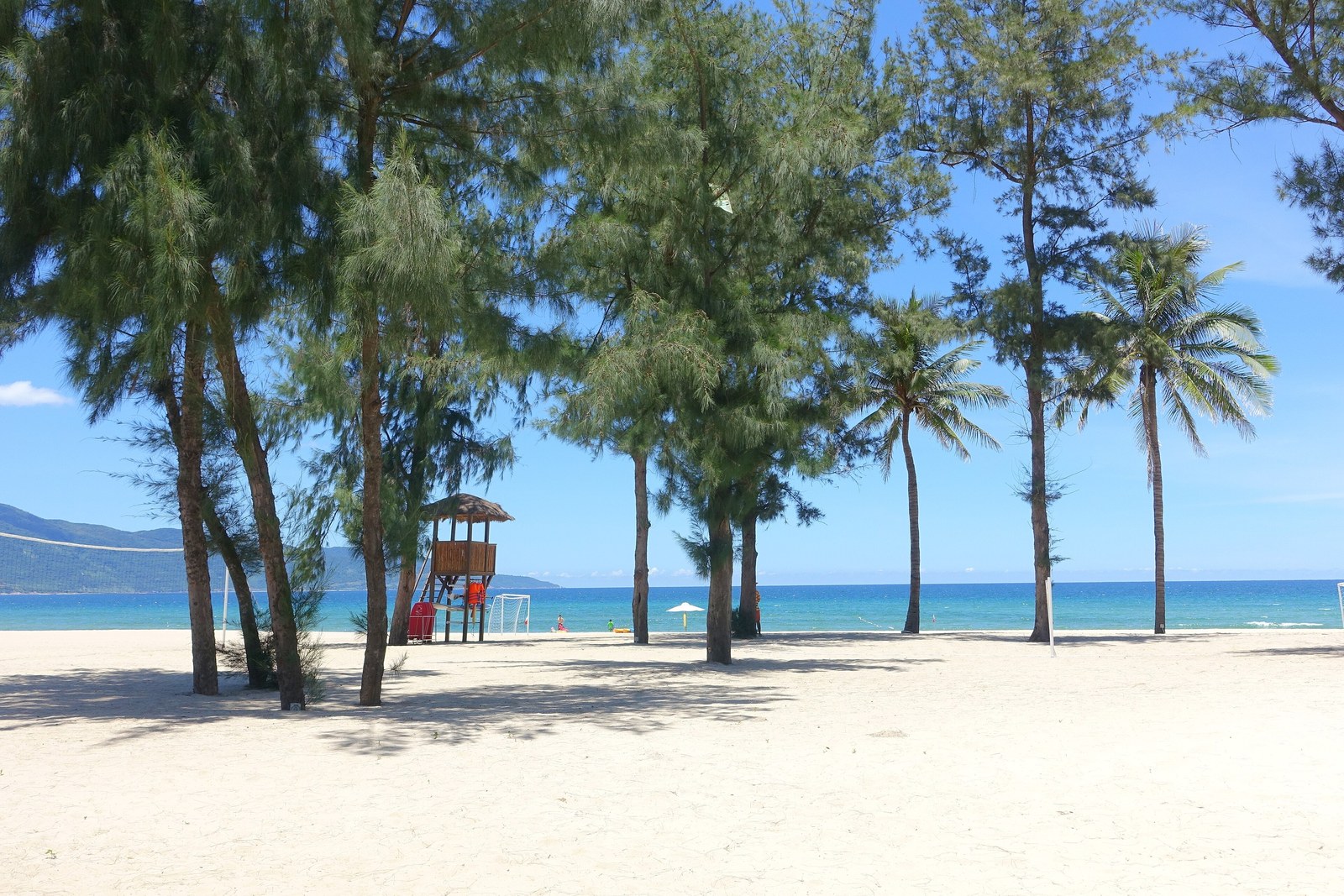 Cảnh quan resort ven biển miền Trung — Hàng cây cao thân thẳng trồng thưa trên nền