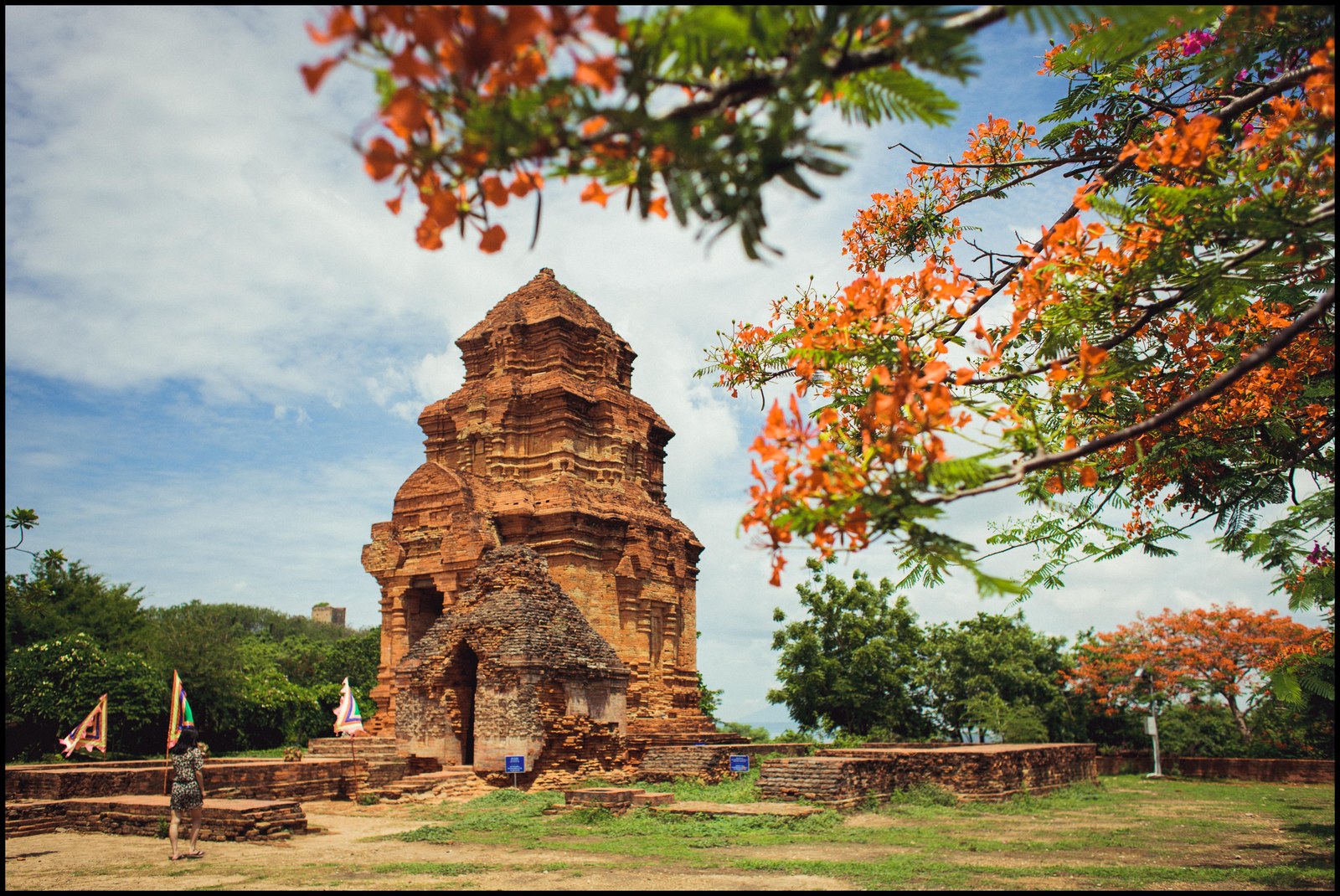 Một tháp Champa nhìn qua tán cây có hoa đỏ, tháp phụ nhỏ hơn đứng phía sau bên phải