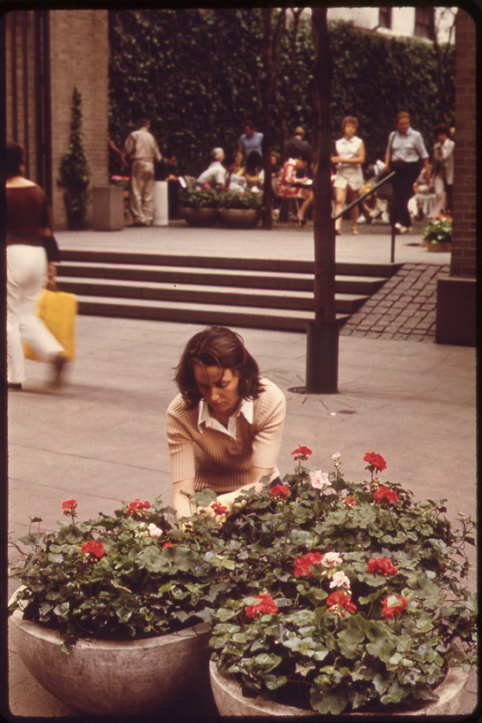 Paley Park — Ảnh lưu trữ NARA tháng 6/1973: người trồng hoa