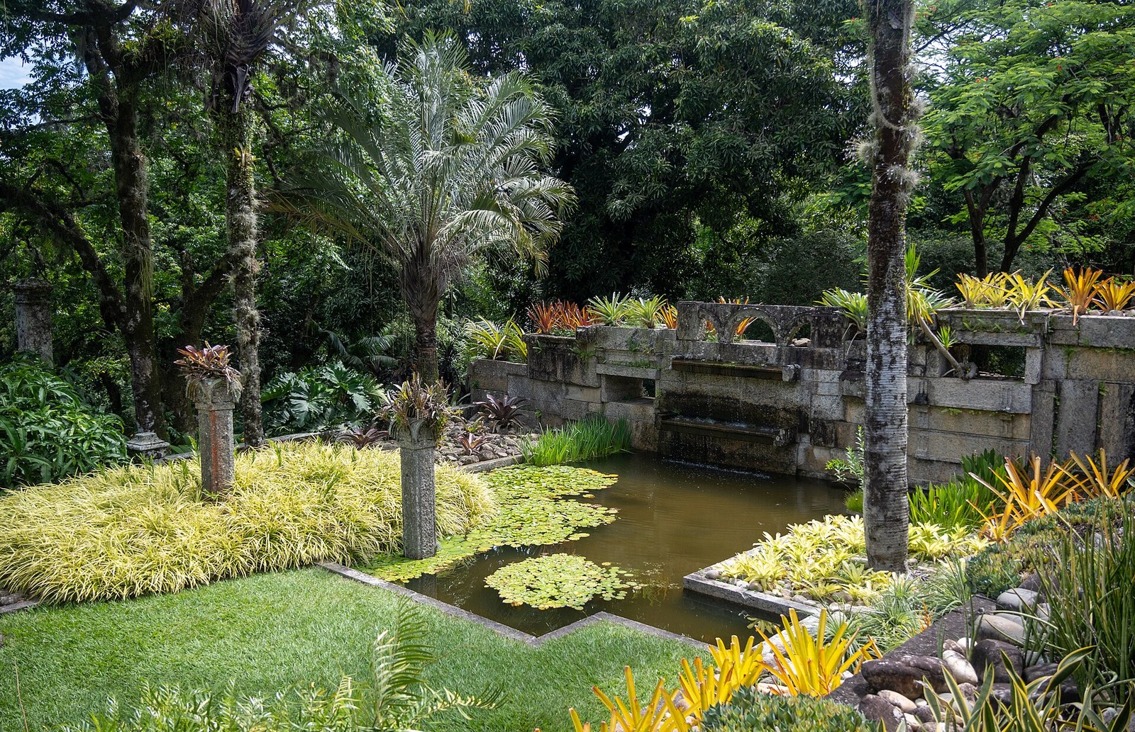 Sítio Roberto Burle Marx: khối cỏ vàng lớn cạnh hồ nước tối và bromeliad