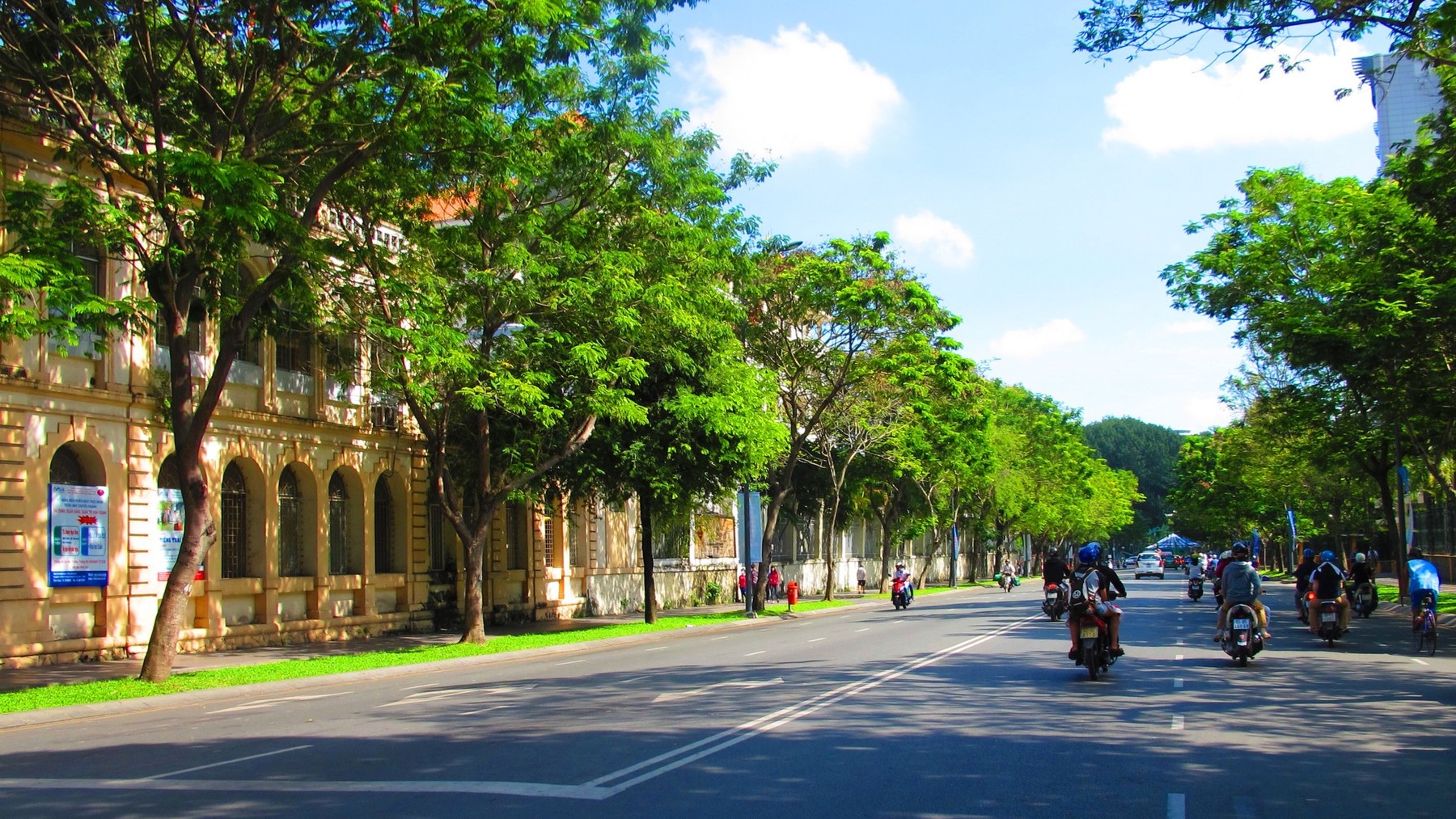Nguyên tắc bố trí cây xanh tuyến phố đô thị: khoảng cách, ô trồng, tầng ngầm, tầm nhìn giao lộ và chọn tán