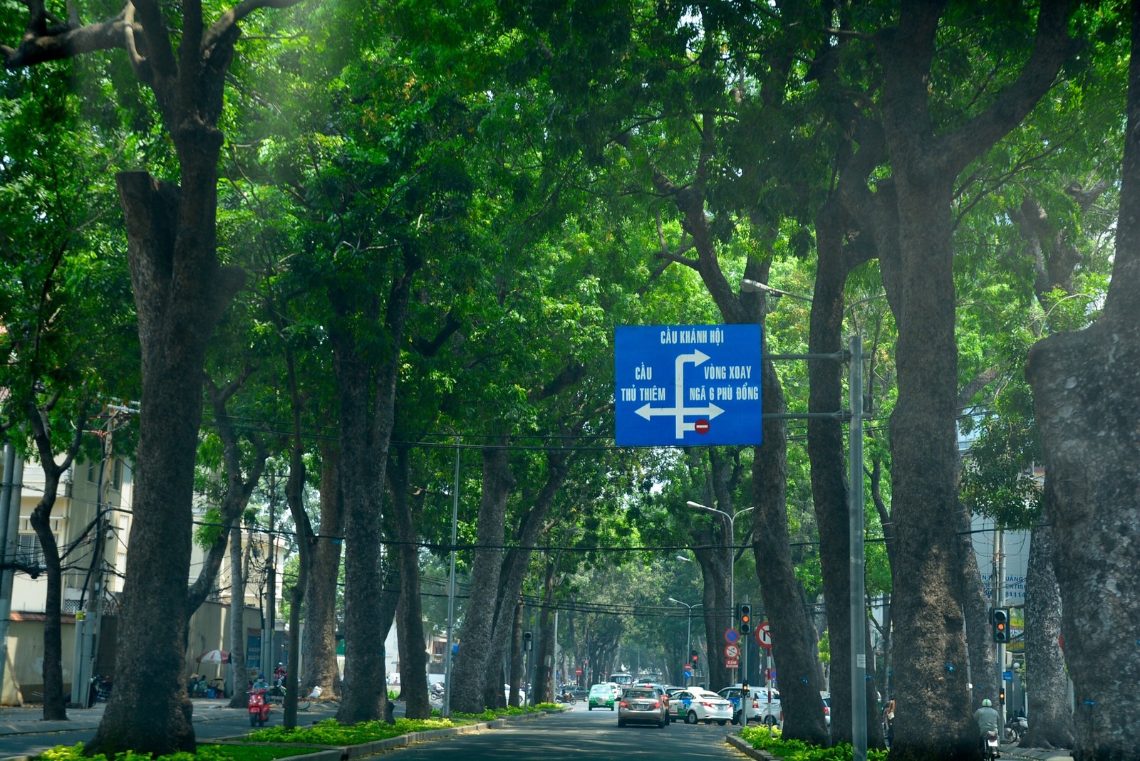 Nguyên tắc bố trí cây xanh tuyến phố đô — Tôn Đức Thắng: hàng cây tán khép kín trên