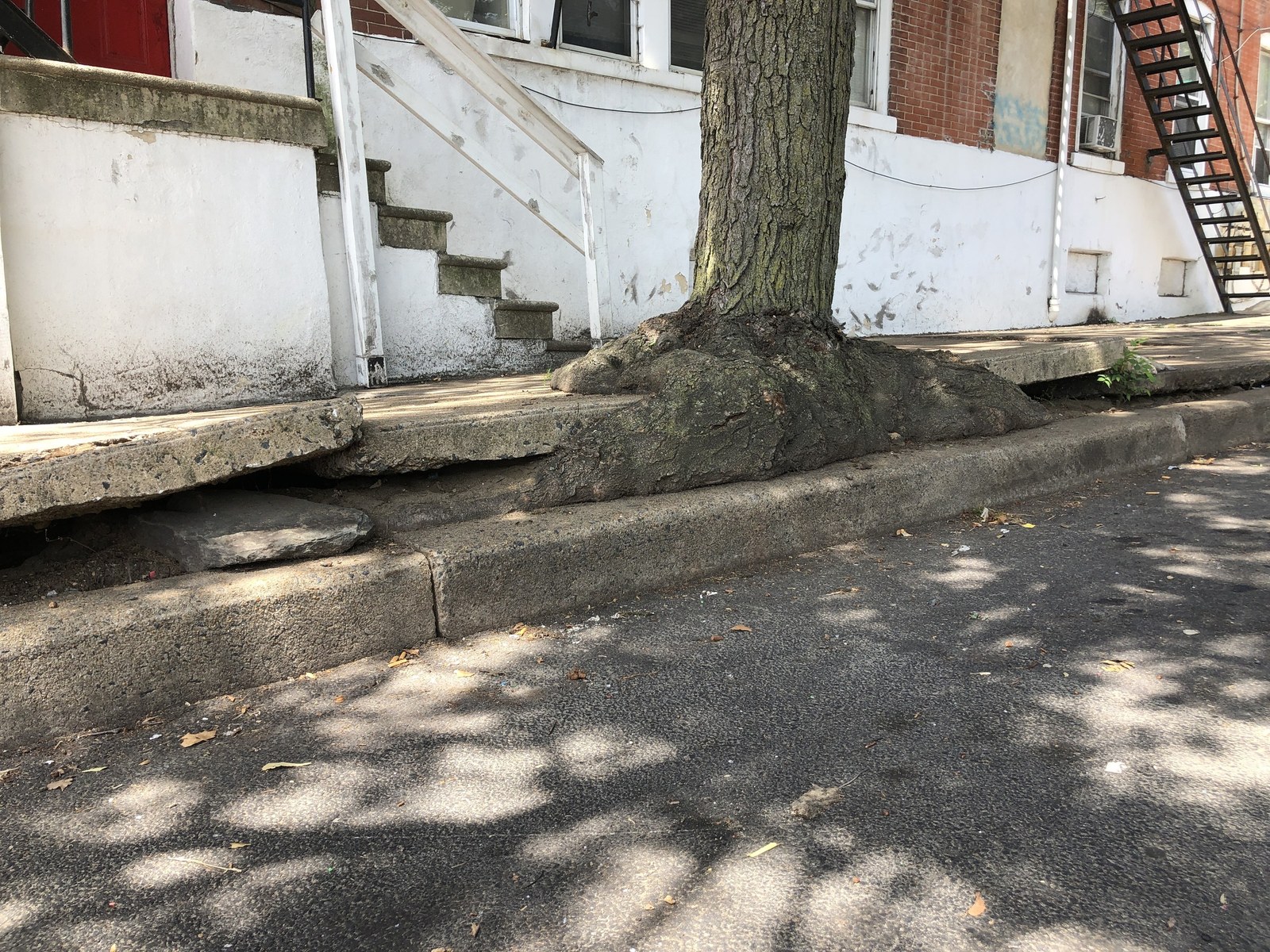 Nguyên tắc bố trí cây xanh tuyến phố đô — Wilmington