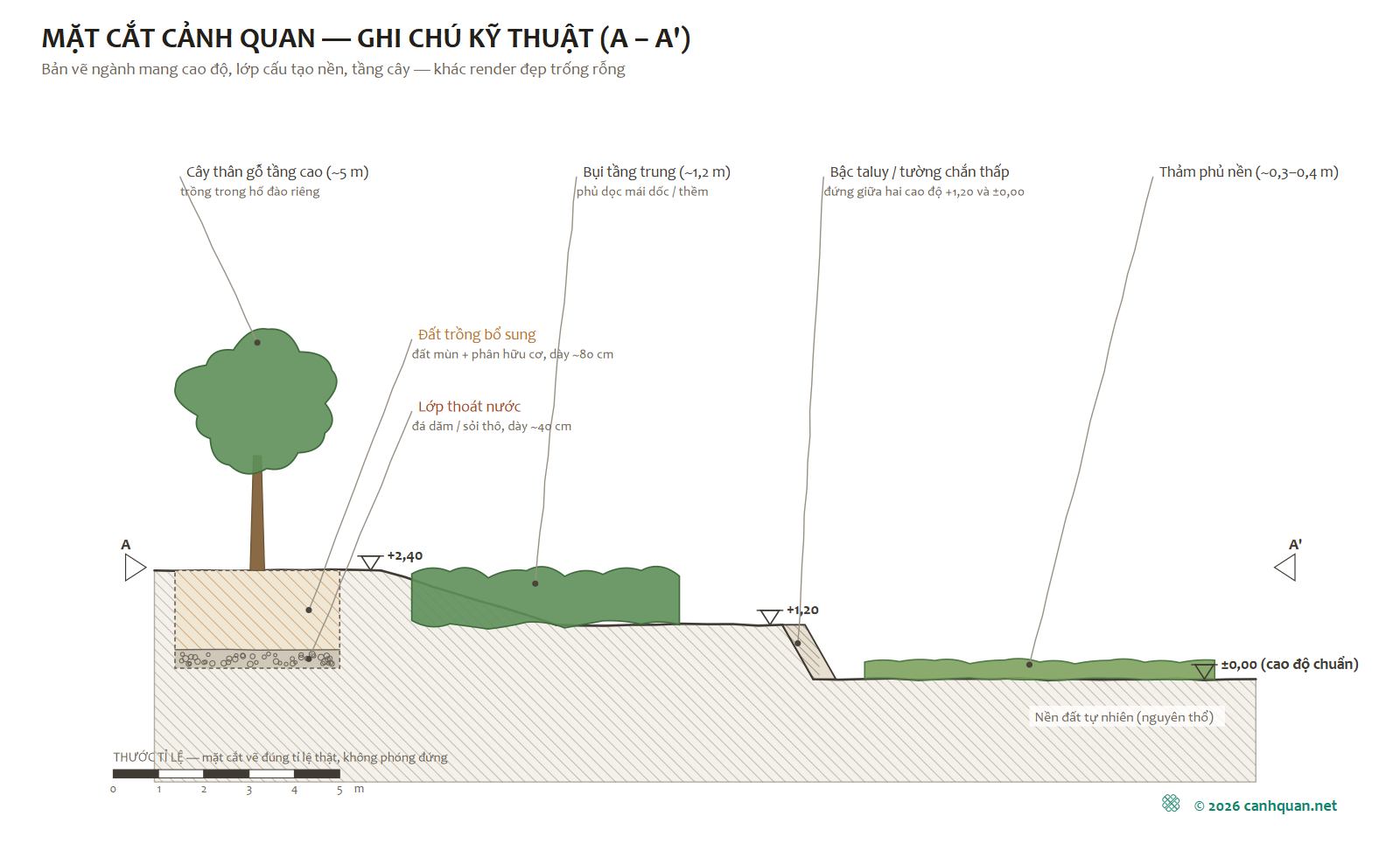 Bản vẽ mặt cắt cảnh quan A–A' có ghi cao độ, các tầng cây và lớp cấu tạo hố trồng cây