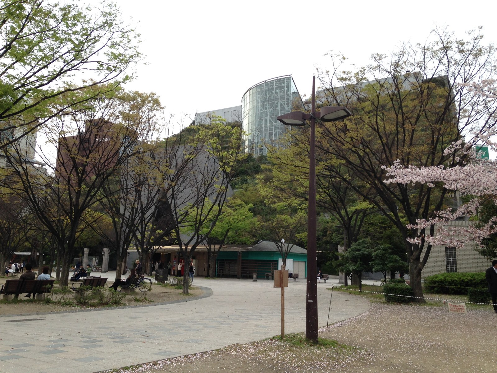 Vườn mái — Các bậc vườn ACROS Fukuoka nhìn từ công viên
