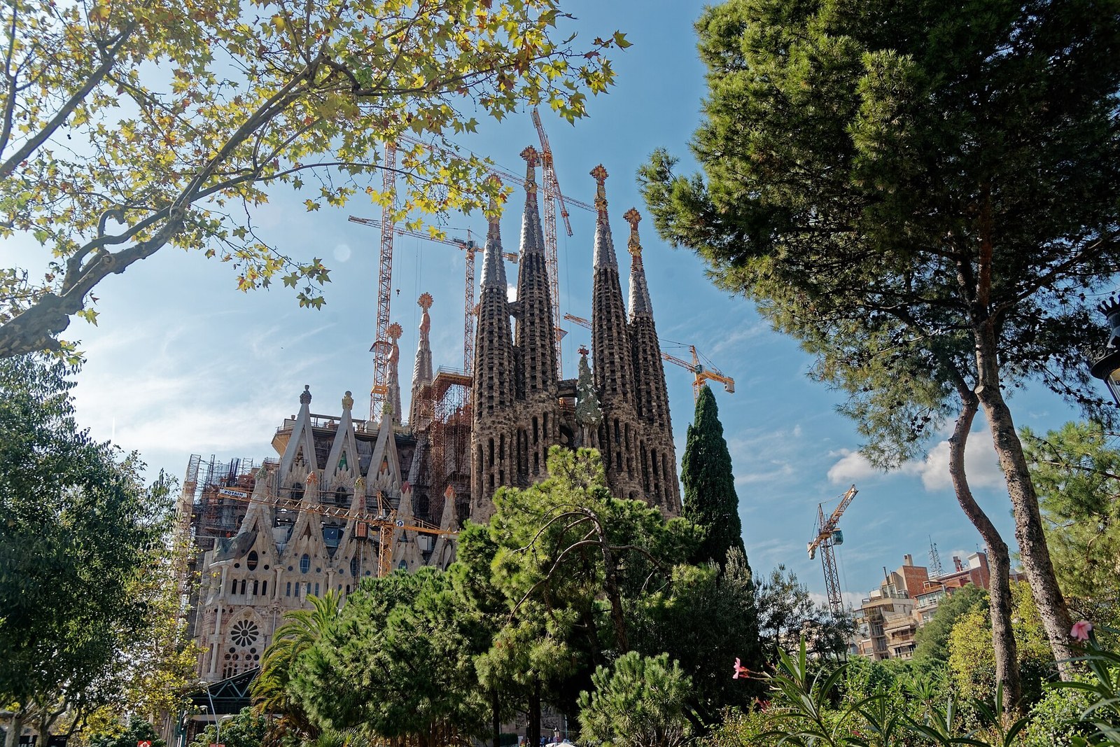 Sagrada Família — cụm tháp và mặt đứng Giáng Sinh nhìn qua tán thông và cây lá ở Plaça de Gaudí