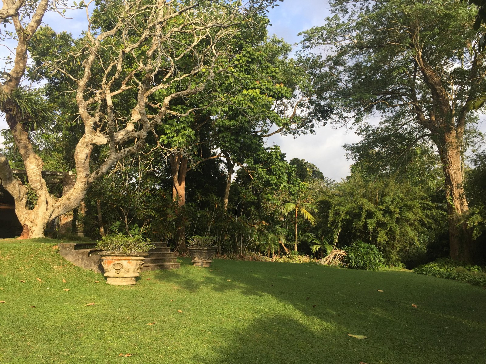 Sân vườn biệt thự khí hậu nhiệt đới — Sân trước vườn Brief ở Sri Lanka: bãi cỏ