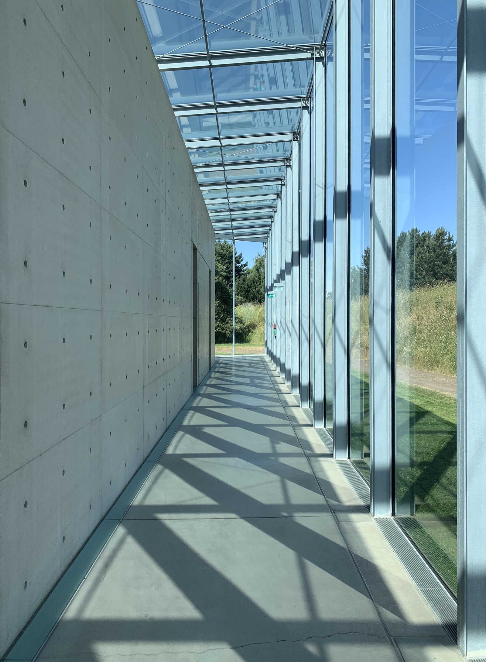 Tadao Ando là ai? Võ sĩ tự học thành bậc — Hành lang kính của Langen Foundation