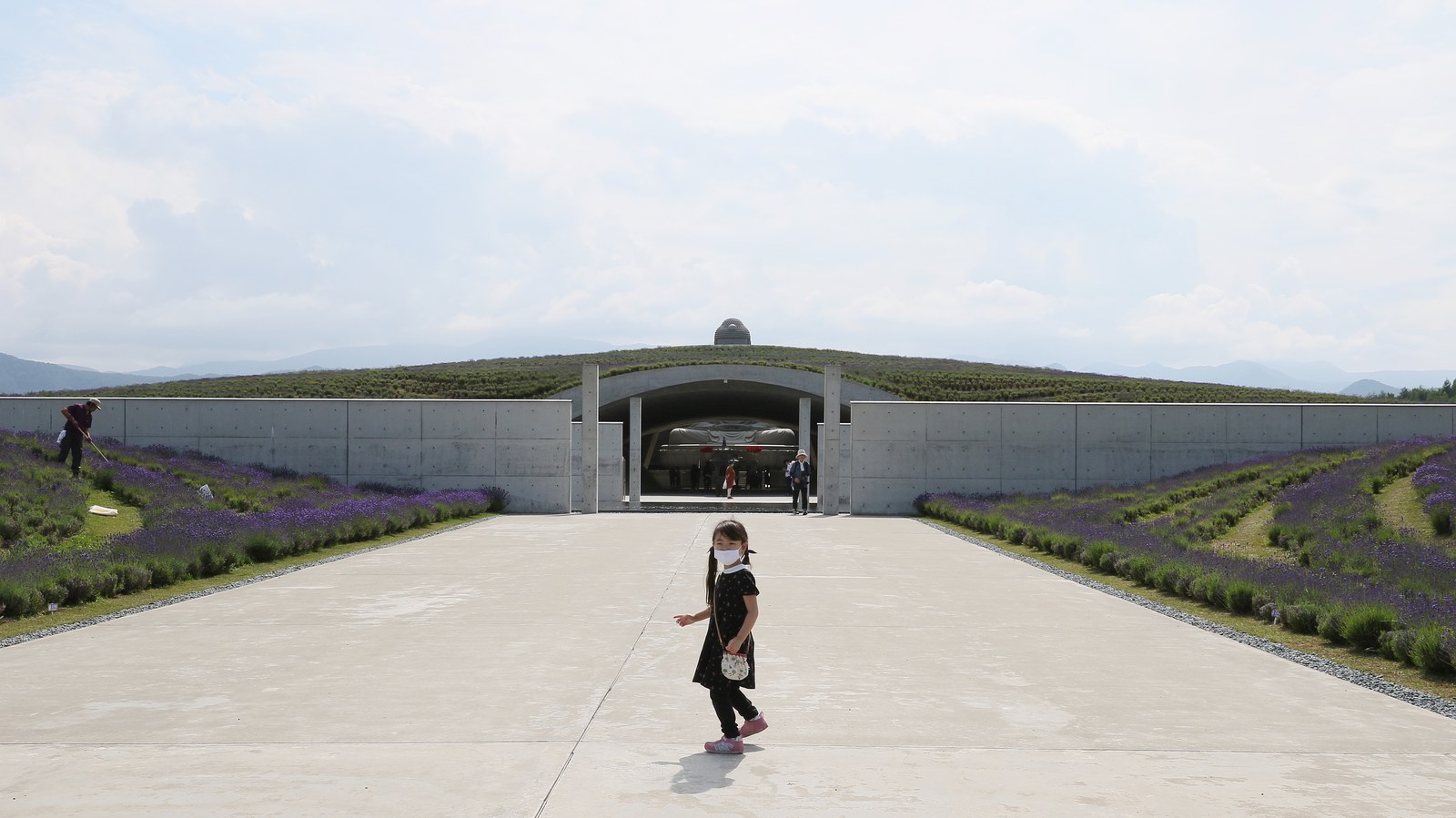 Tadao Ando là ai? Võ sĩ tự học thành bậc — Lối vào Hill of the Buddha giữa hai luống
