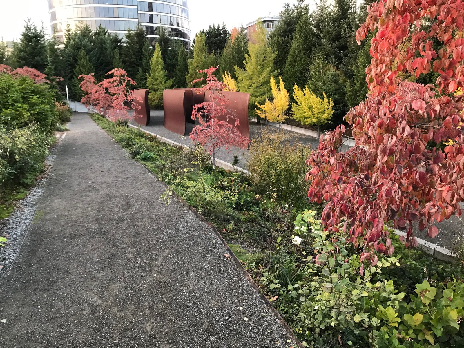 Olympic Sculpture Park — Lối đi rải sỏi mùa thu