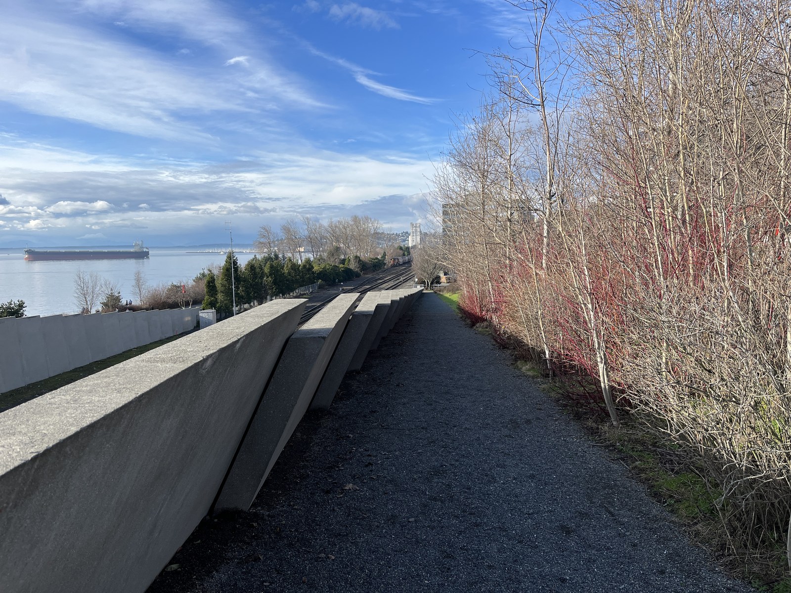 Olympic Sculpture Park — Lối đi zigzag dọc tường bê tông nghiêng