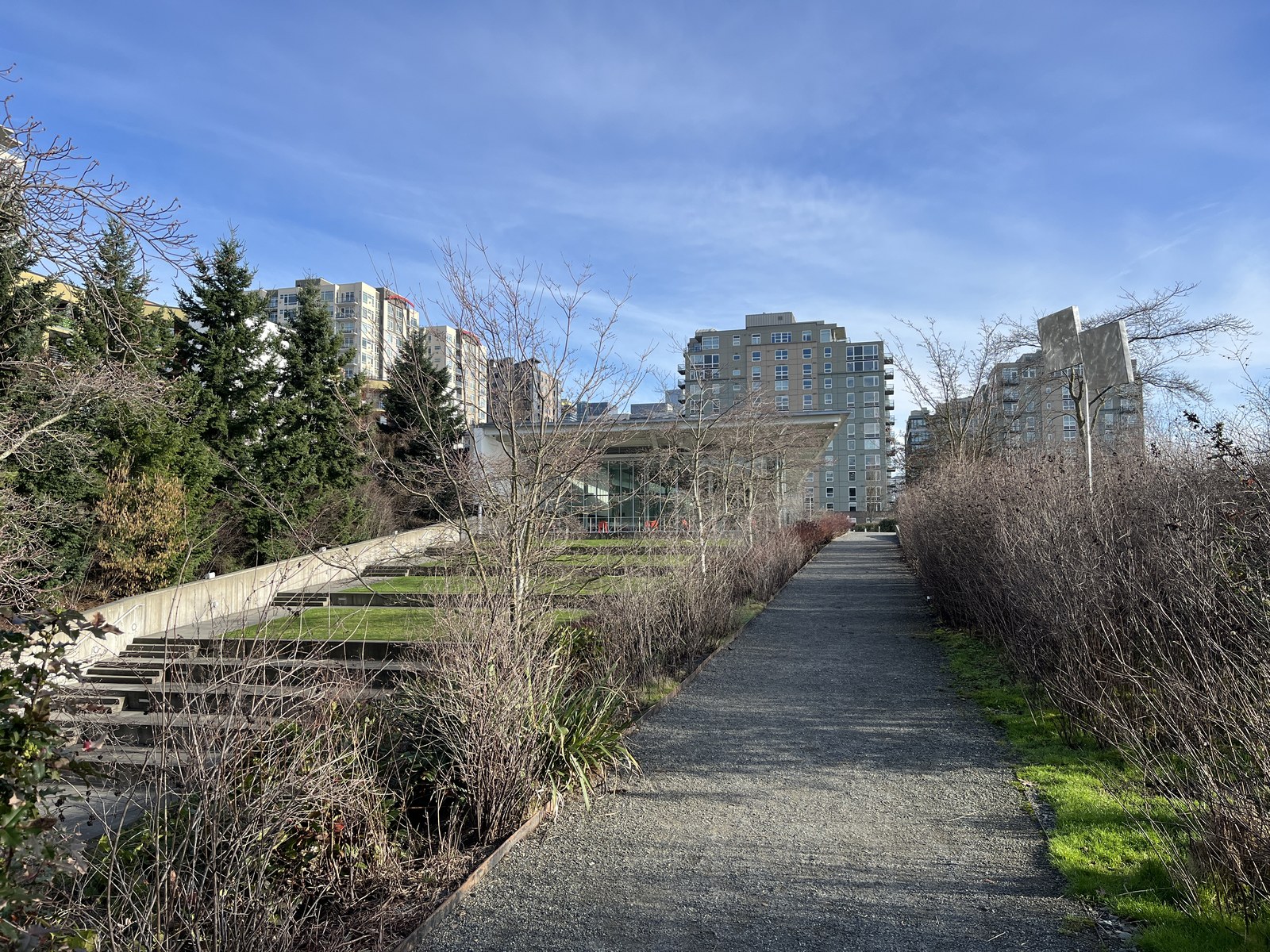 Olympic Sculpture Park mùa đông, lối sỏi giữa cây bụi và bậc cỏ bê tông