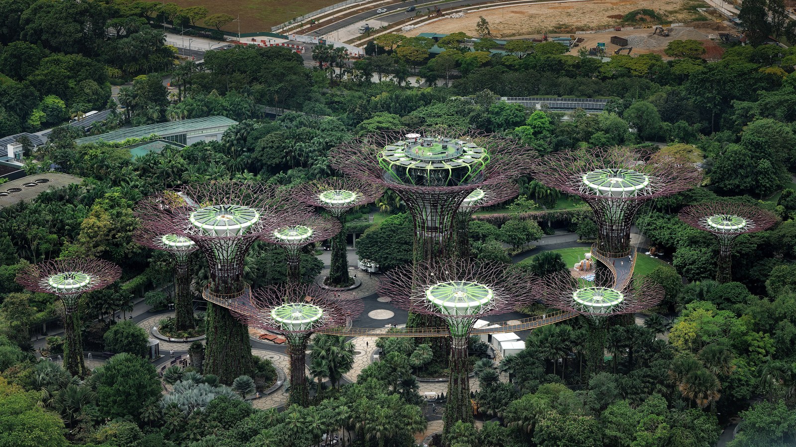 Vì sao kiến trúc cảnh quan là chìa khóa  — Cụm Supertree Grove nhìn từ trên cao giữa rừng