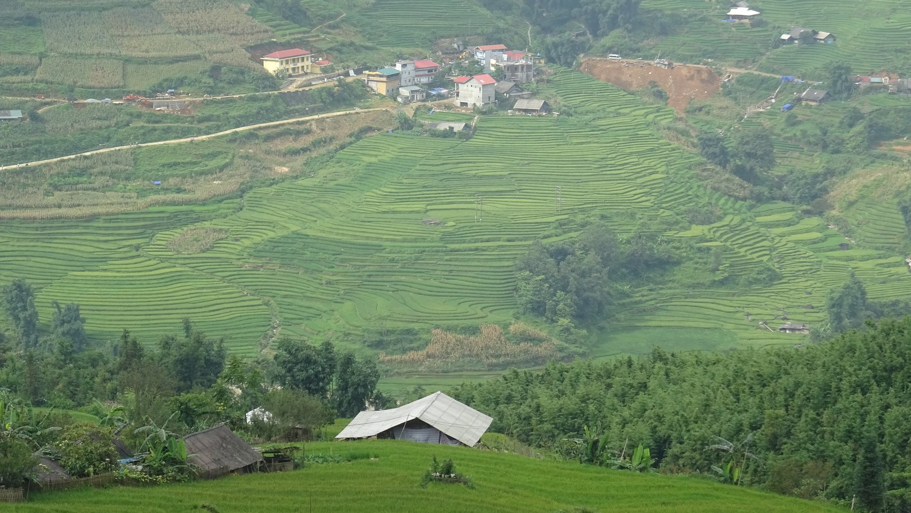 ECOTOURISM, PRO-POOR TOURISM, CBT — chọn đúng mô hình trước khi vẽ quy hoạch