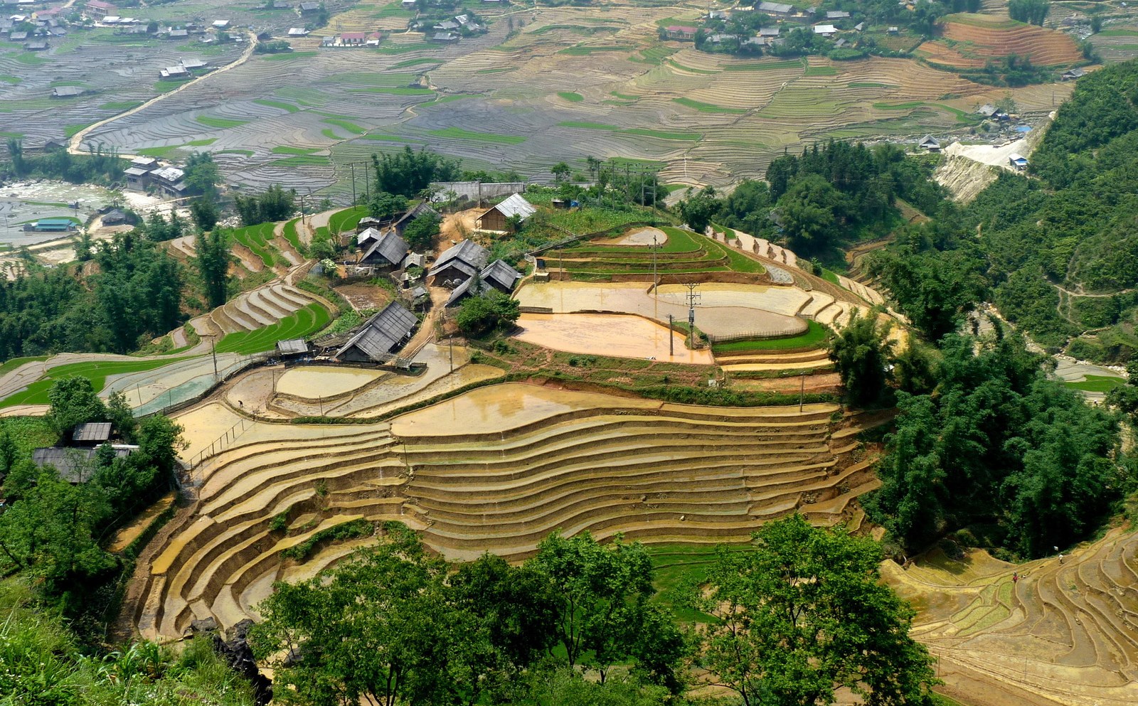 Vài nếp nhà gỗ trên đồi ruộng bậc thang đang ngâm nước