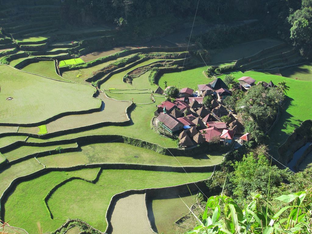 Homestay miền núi giữa ruộng bậc thang Bangaan, Philippines