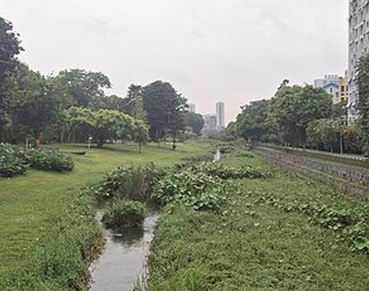 Bishan–Ang Mo Kio Park, Singapore — biến kênh bê tông thành sông