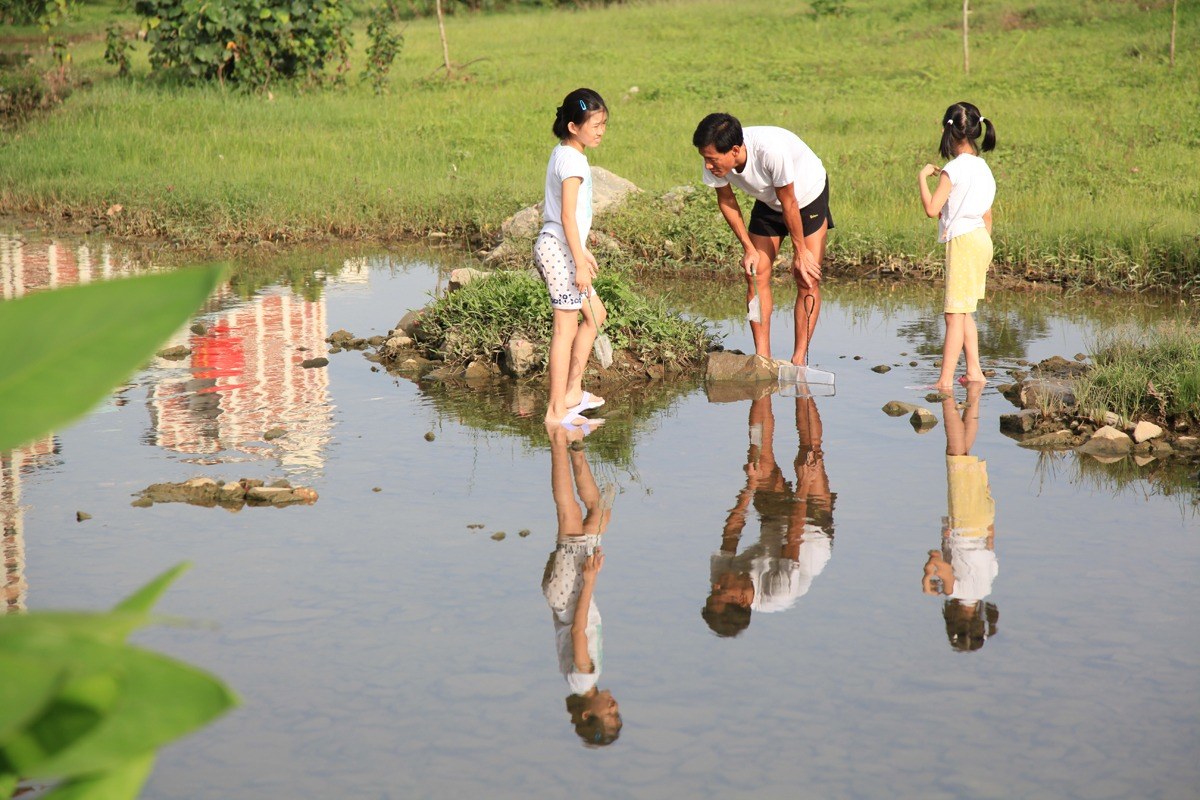 Bishan–Ang Mo Kio Park, Singapore — một người đàn ông cúi xuống dùng vợt bắt cá trong hồ nước nông, hai bé gái đứng hai bên bờ, nhà cao tầng phản chiếu trên mặt nước