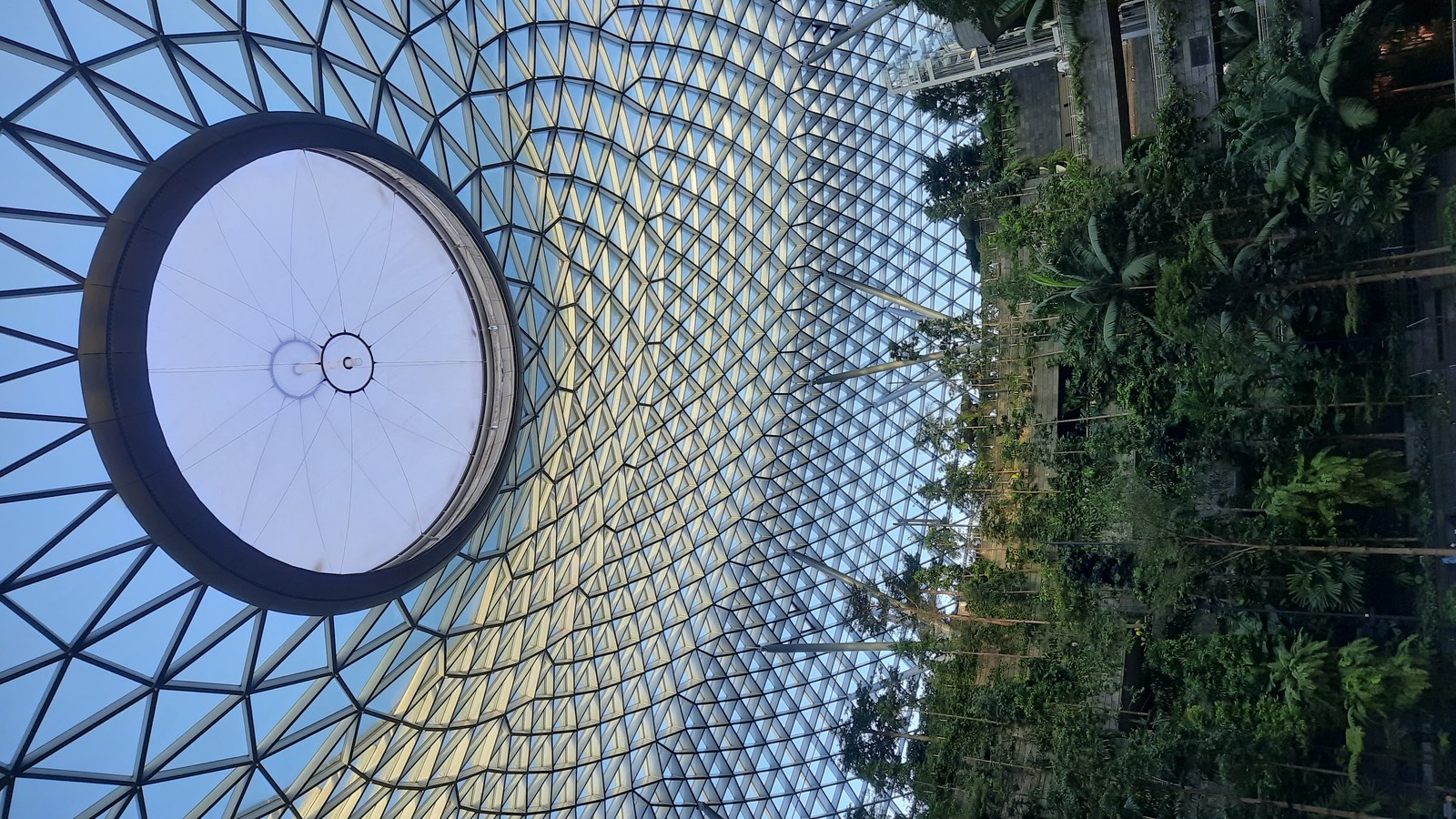 Jewel Changi — Cận cảnh khung mái vòm kính lưới tam giác