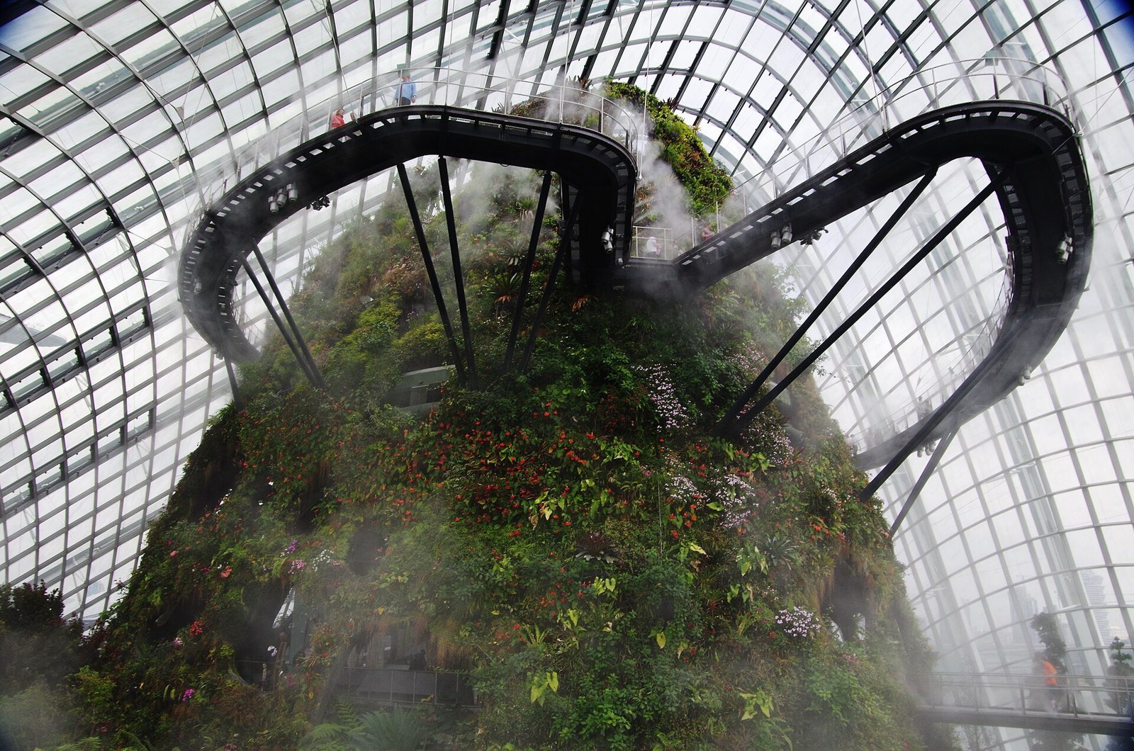 Sương phun bao quanh đỉnh núi thực vật và hai nhánh cầu đi bộ treo trong nhà kính Cloud Forest