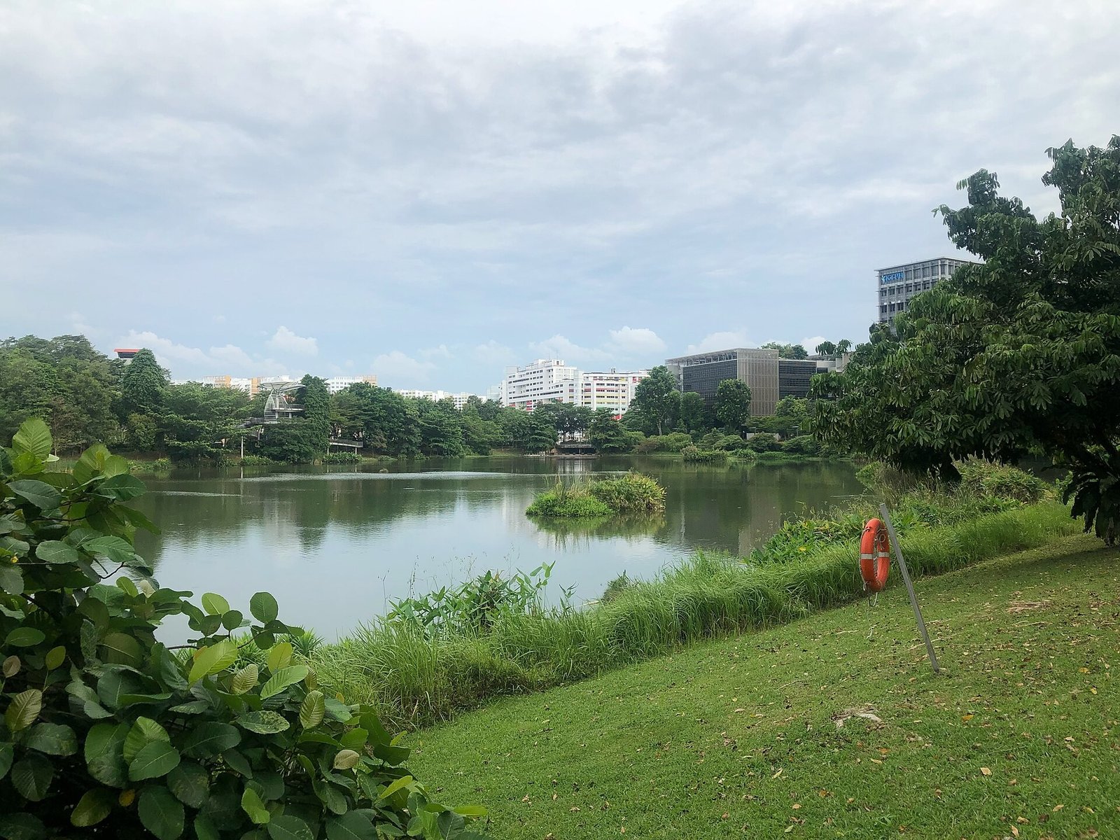 Hồ Yishun với bờ cỏ và cây bụi, khối nhà bệnh viện Khoo Teck Puat ở phía xa bên trái