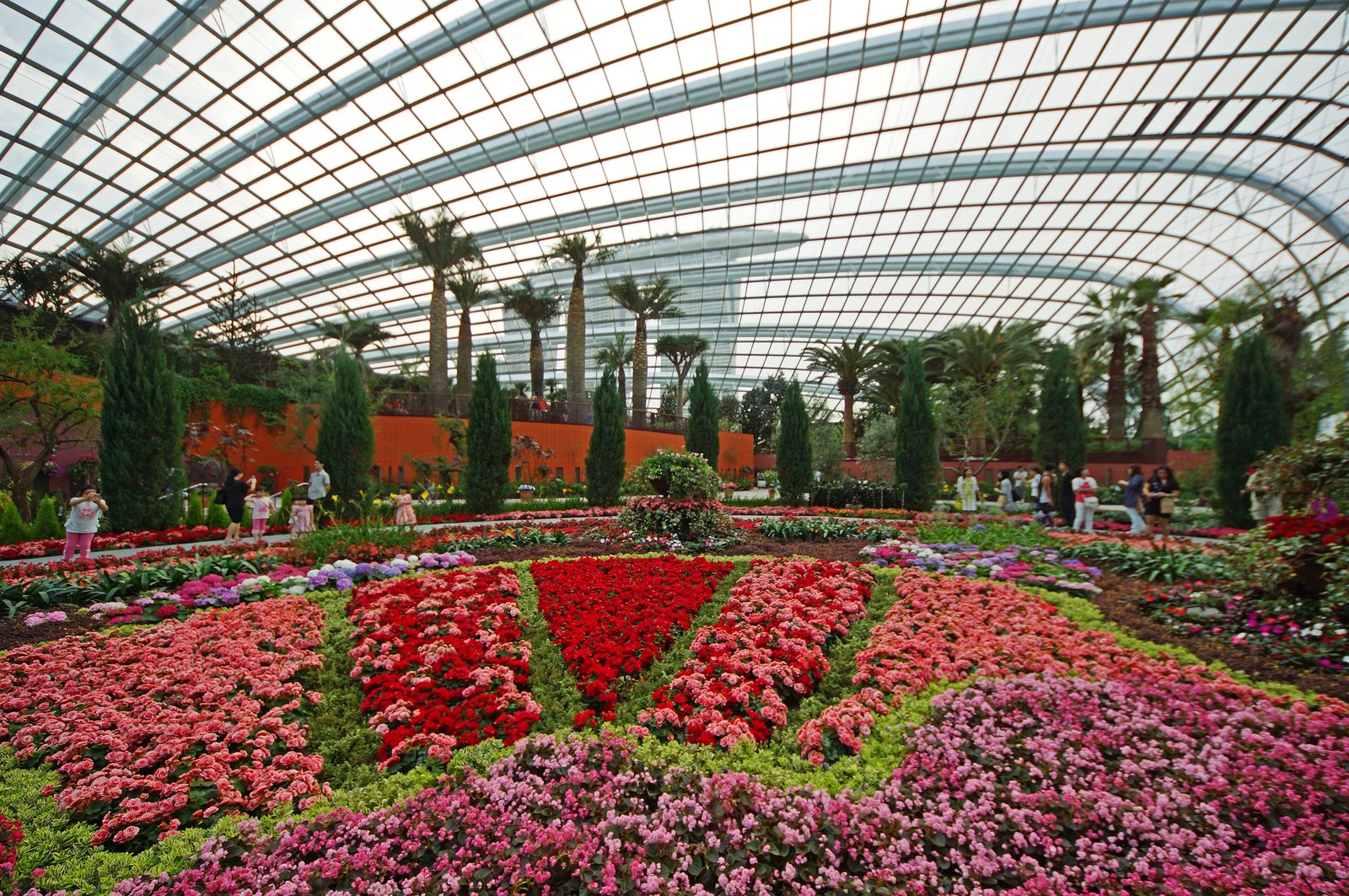 Thảm hoa đỏ hồng trải rộng dưới mái kính lưới không cột của Flower Dome, hàng cọ phía sau
