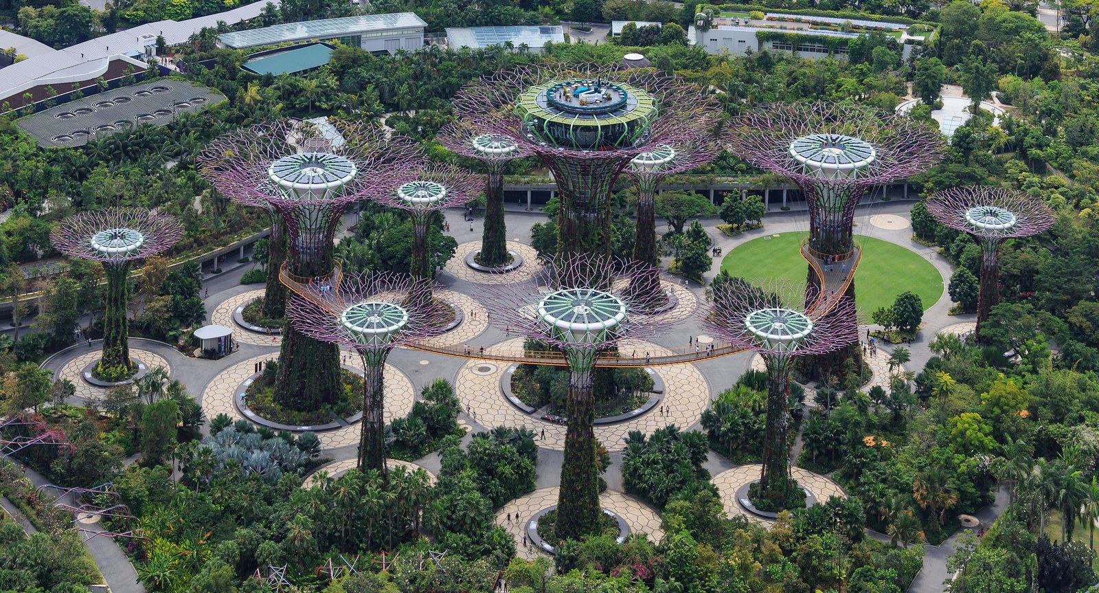 Cụm Supertree Grove nhìn từ trên cao, thân phủ cây leo, quảng trường tròn và vườn xanh bao quanh