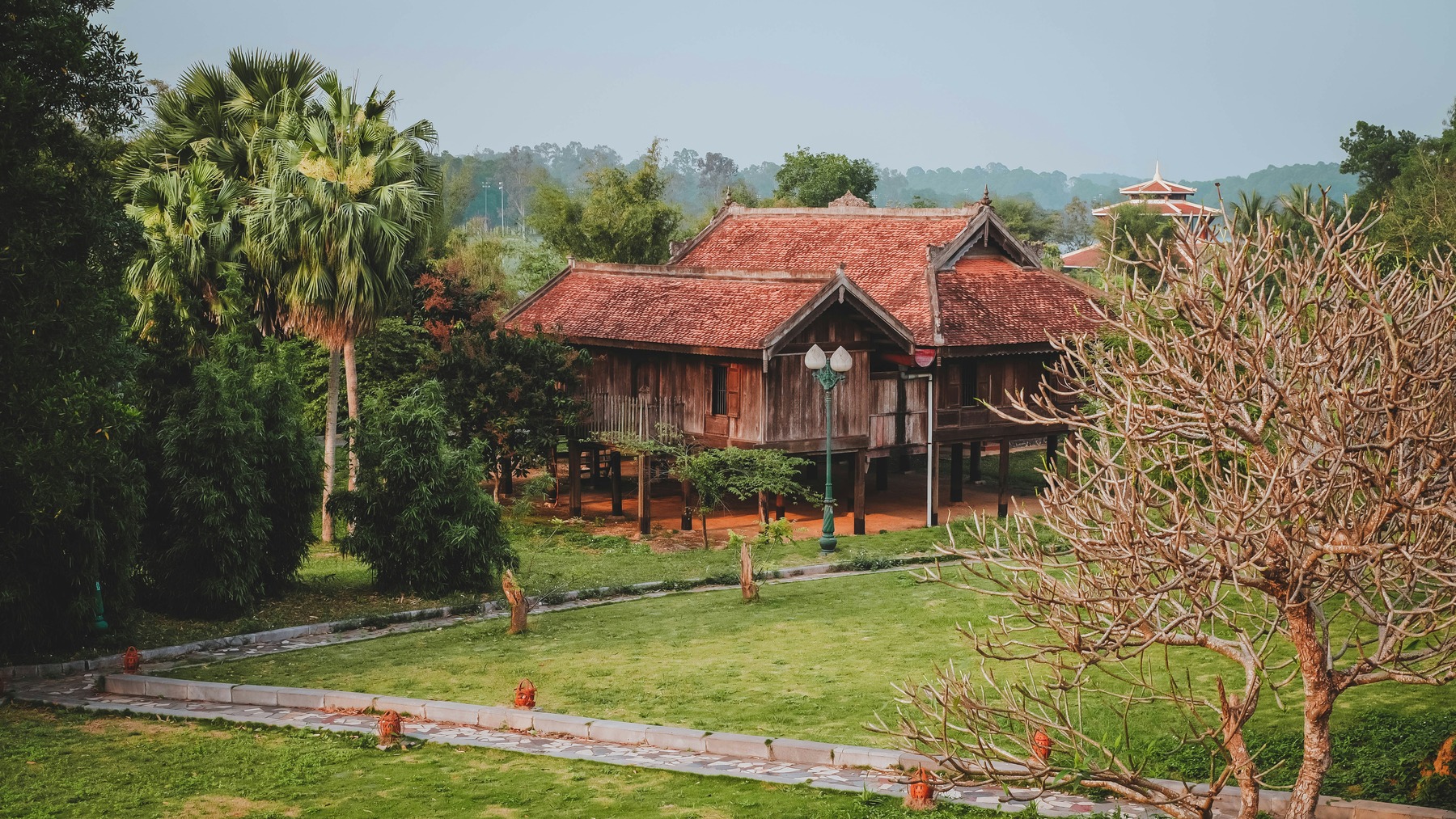 Trẻ cắn lá cây, tay dính nhựa cây — triệu chứng nào cần cấp cứu ngay, triệu chứng nào chỉ cần theo dõi?