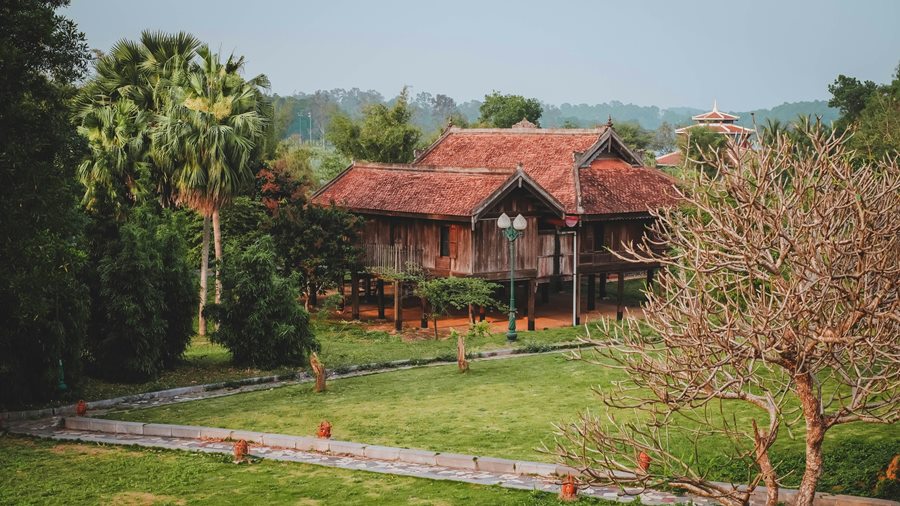 Trẻ cắn lá cây, tay dính nhựa cây — triệu chứng nào cần cấp cứu ngay, triệu chứng nào chỉ cần theo dõi?