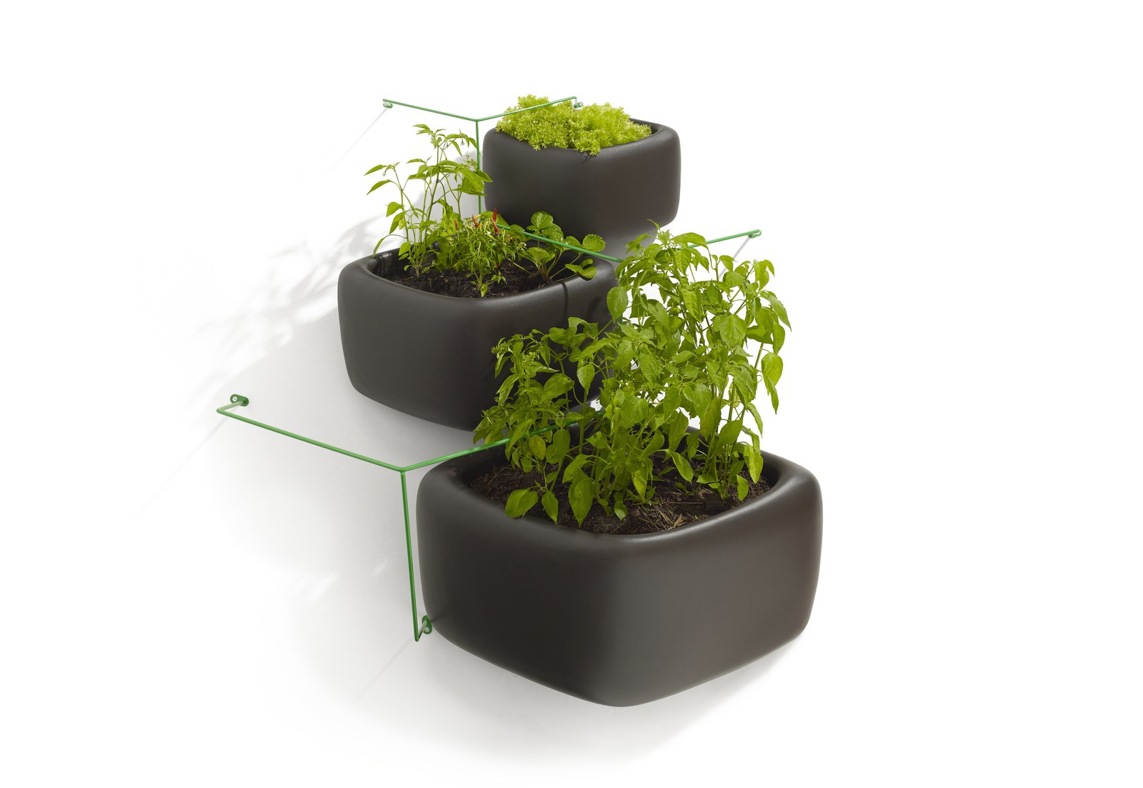 Ảnh dựng sản phẩm ba chậu nhựa đen xếp lệch tầng cao thấp, gắn tường bằng móc kim loại xanh, mỗi chậu trồng một loại rau ăn lá hoặc rau thơm